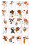 Copy-of-Untitled.jpg